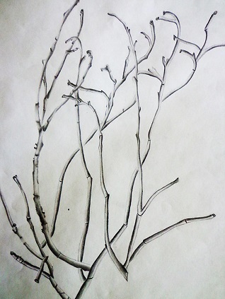 Wilted series by Katie Revilla
